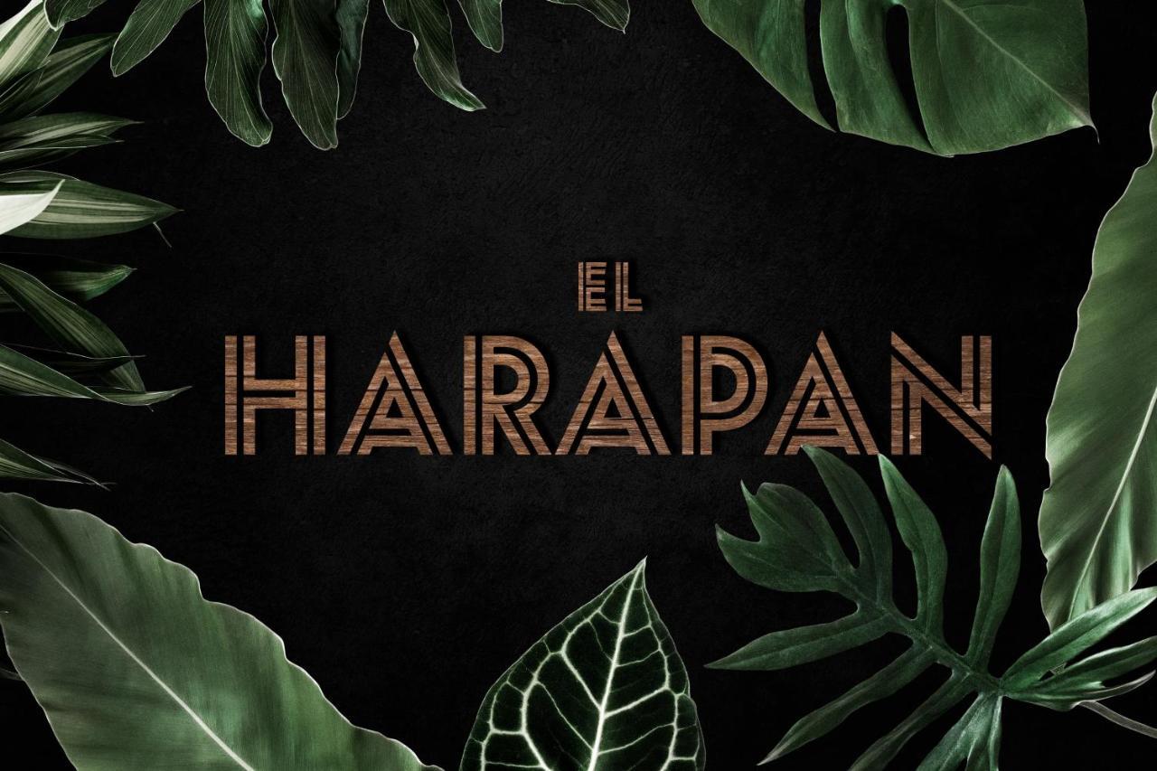 El Harapan - Sumergete En Una Selva A Pie De Playa - Grupo Querbes Хіхон Екстер'єр фото